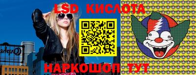 шишки Шебекино