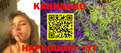 шишки Шебекино