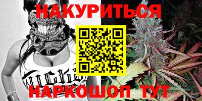 шишки Шебекино