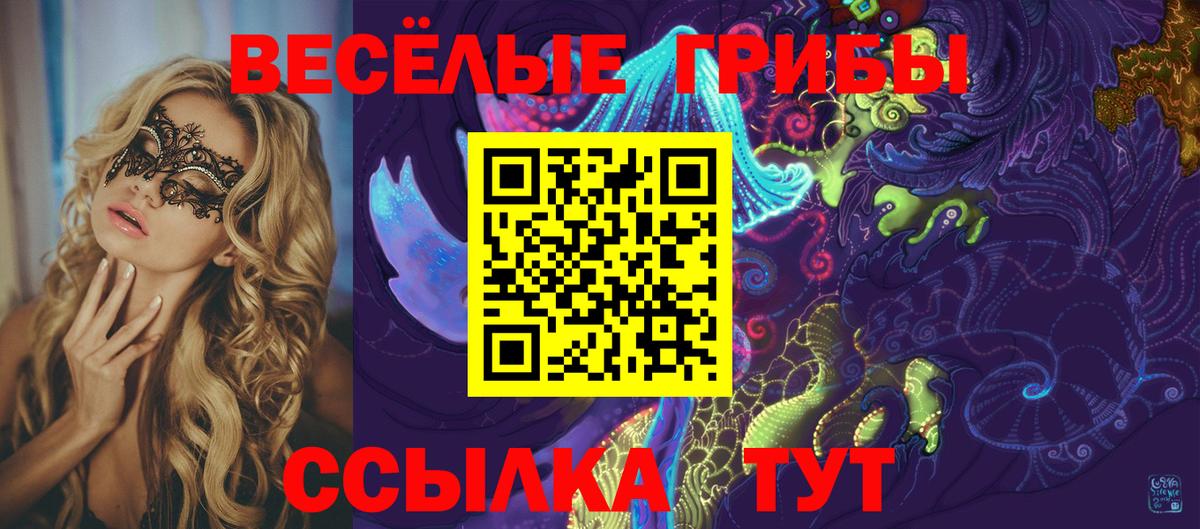 Псилоцибиновые грибы Psilocybine cubensis Кунгур