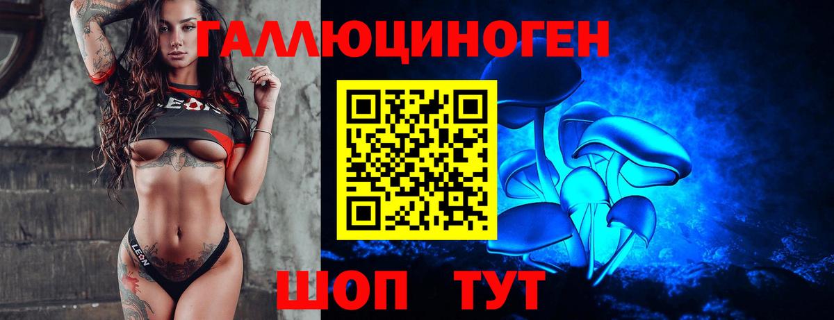 Кунгур  Галлюциногенные грибы MAGIC MUSHROOMS  Вход с VPN 